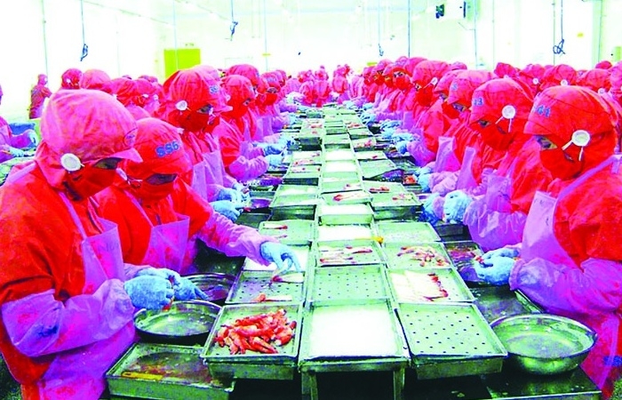 Vượt rào cản kỹ thuật để giữ vững thị trường xuất khẩu