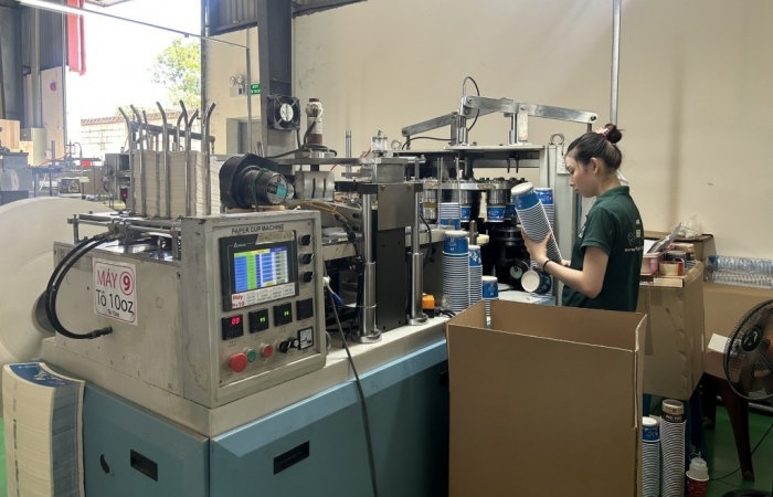 Hải quan thực hiện giảm thuế GTGT theo Nghị quyết số 174/2024/QH15