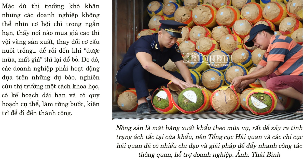 Megastory: Tìm “bệ đỡ” mở rộng thị trường xuất khẩu