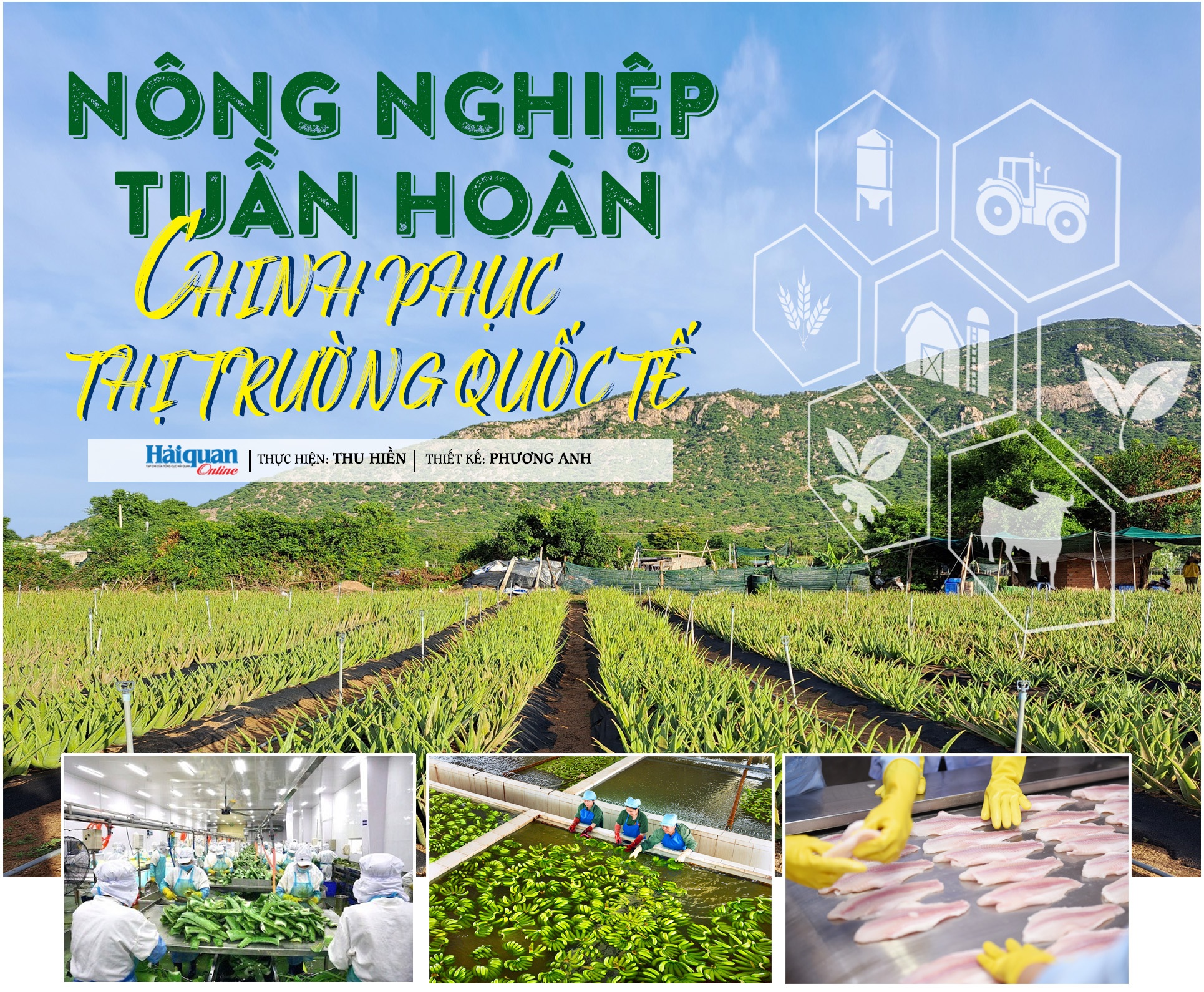 Nông nghiệp tuần hoàn chinh phục thị trường quốc tế