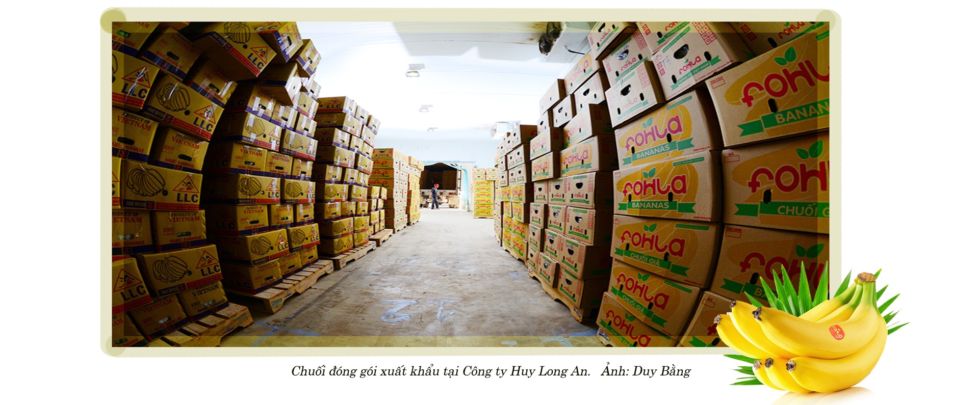 Nông nghiệp tuần hoàn chinh phục thị trường quốc tế
