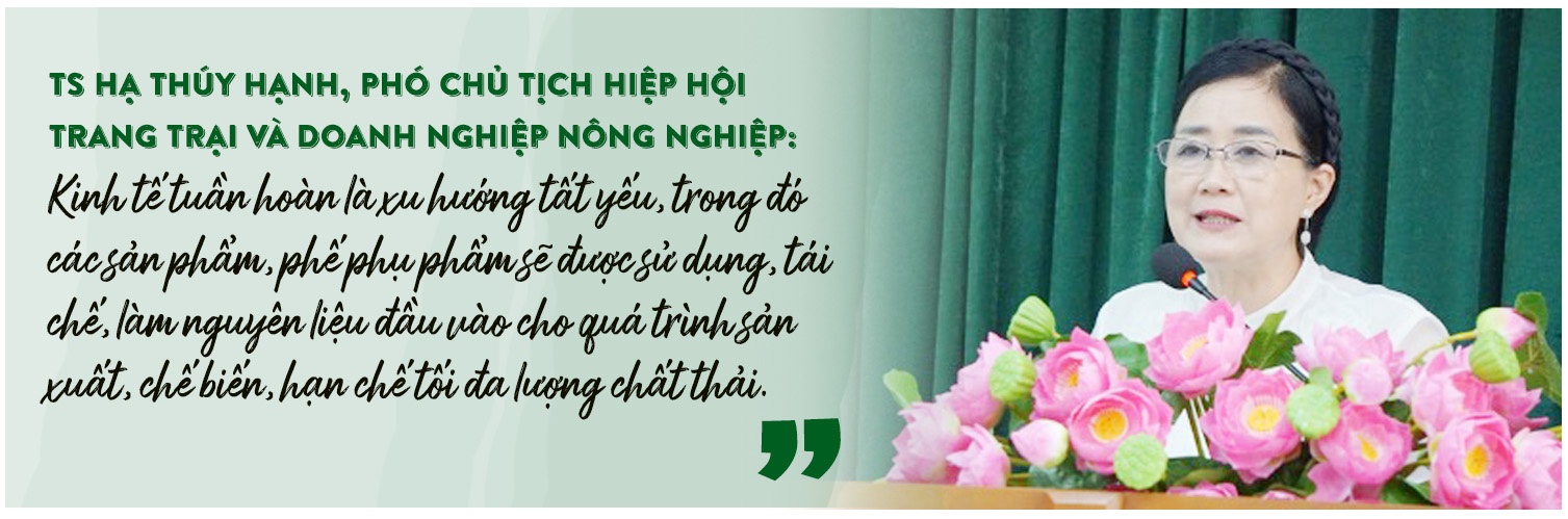 Nông nghiệp tuần hoàn chinh phục thị trường quốc tế