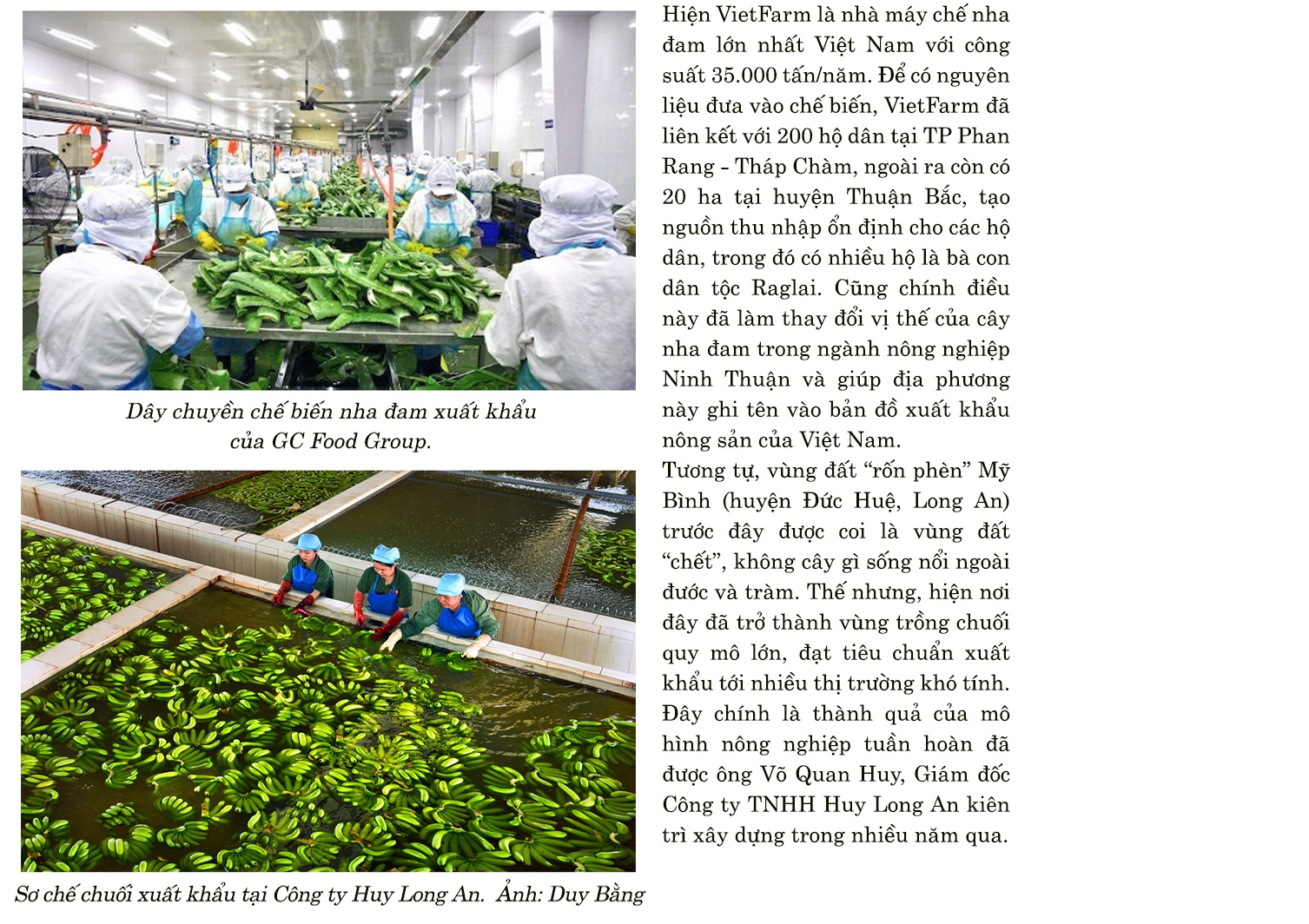 Nông nghiệp tuần hoàn chinh phục thị trường quốc tế