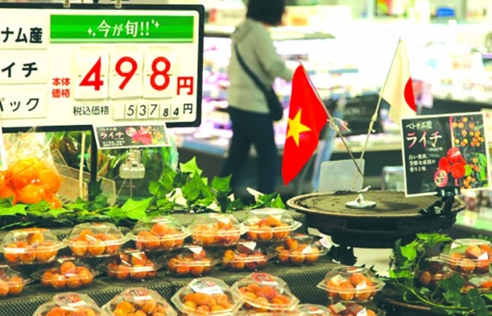 Phổ biến quy định về nhập khẩu vải thiều trong vụ mới
