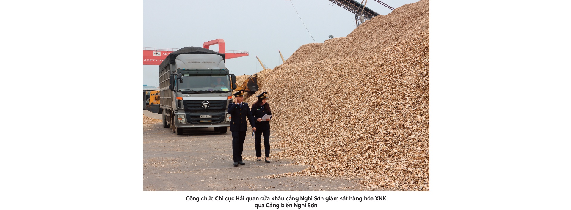 Thanh Hóa: Đưa cảng biển làm đòn bẩy triển kinh tế-xã hội