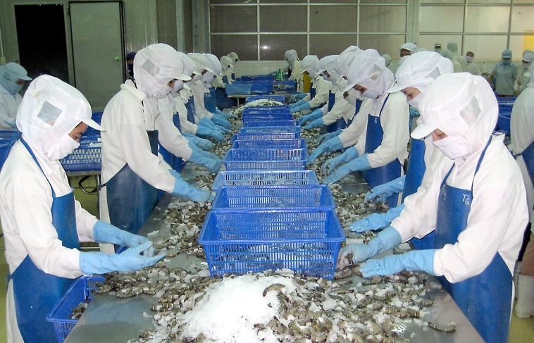 Xuất khẩu tôm mang về gần 2,8 tỷ USD