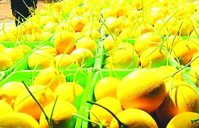 Hiểu rõ quy định để đứng vững ở thị trường xuất khẩu