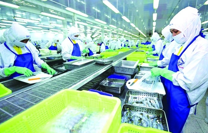 Doanh nghiệp thủy sản cân nhắc thời gian xuất khẩu hàng sang Mỹ
