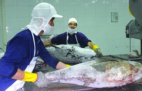 Xuất khẩu thủy sản tăng trưởng ấn tượng