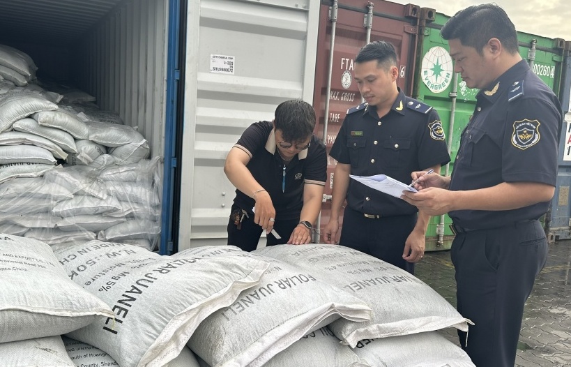 Hải quan TPHCM: Thông quan trên 600 tờ khai XNK hàng hóa qua cảng Cát Lái