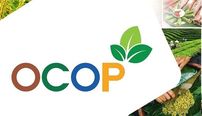 Hà Nội tăng cường giám sát chất lượng thực phẩm OCOP, hàng đông lạnh