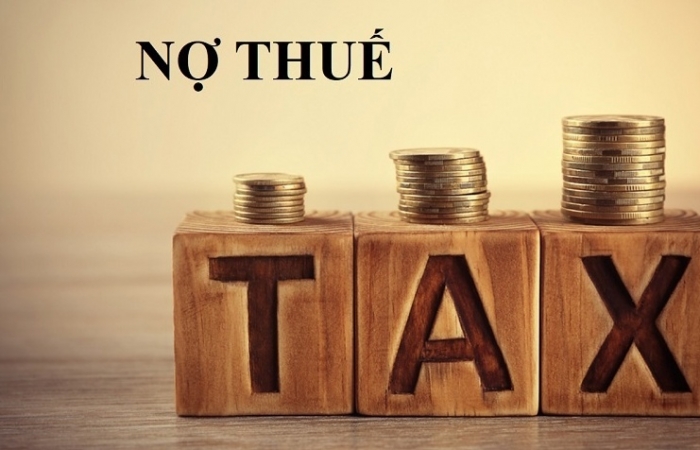 Công ty xây lắp và khai thác vật liệu xây dựng Thanh Nam (Hà Tĩnh) nợ thuế “khủng” hơn 52,9 tỷ đồng