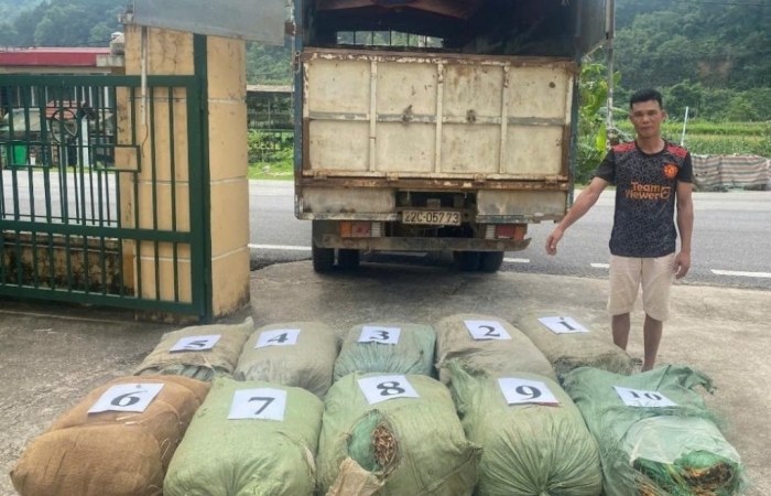 Cao Bằng: Phát hiện, bắt giữ 122.854 kg nguyên liệu thuốc lá không rõ nguồn gốc