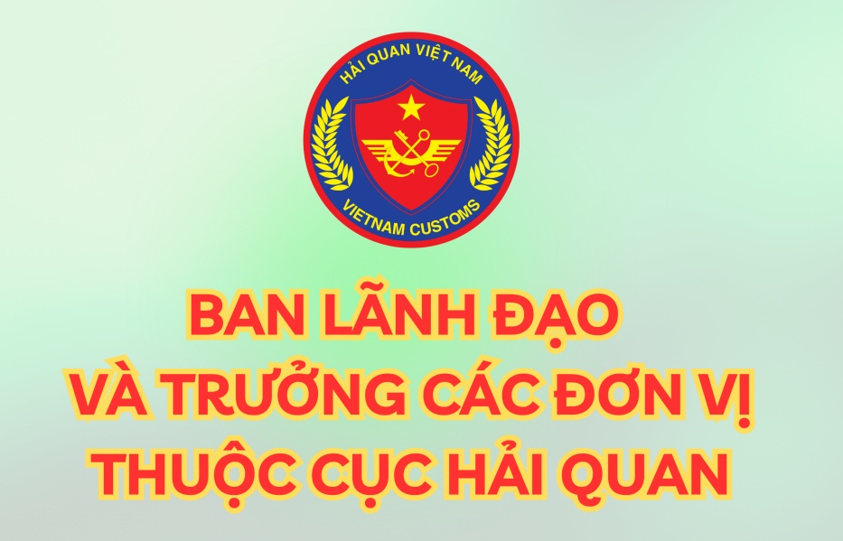 inforgraphics thong tin nhan su lanh dao cua cuc hai quan