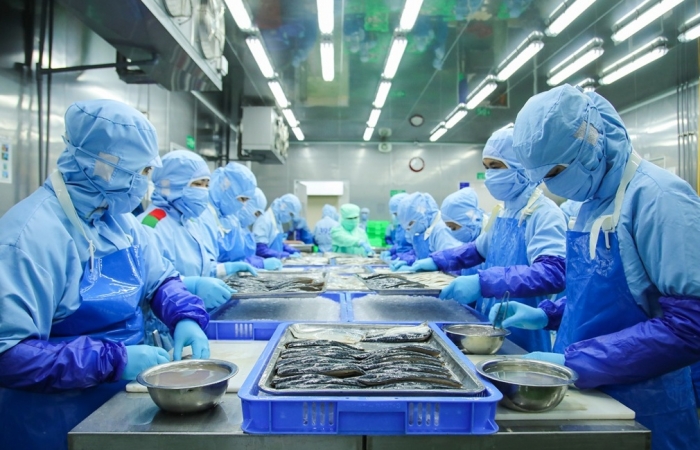 VASEP kiến nghị gỡ vướng để thủy sản về lại “sân nhà”