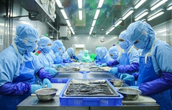 VASEP kiến nghị gỡ vướng để thủy sản về lại “sân nhà”