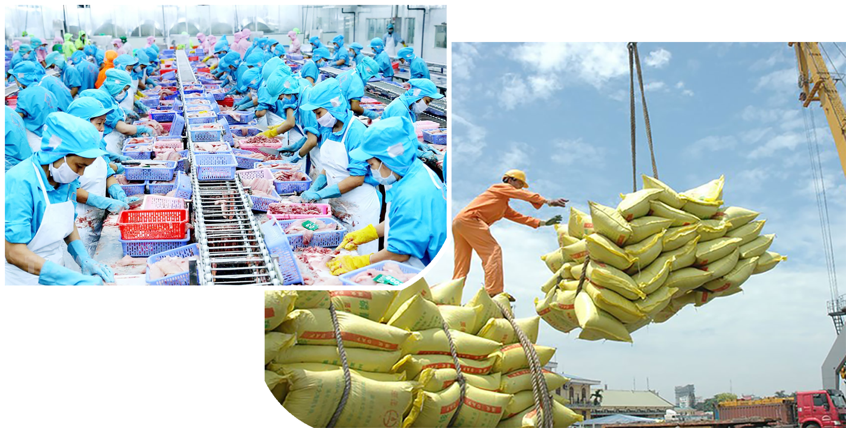 MEGASTORY: Điều hành chính sách tài khóa linh hoạt, tạo động lực phục hồi, thúc đẩy tăng trưởng kinh tế