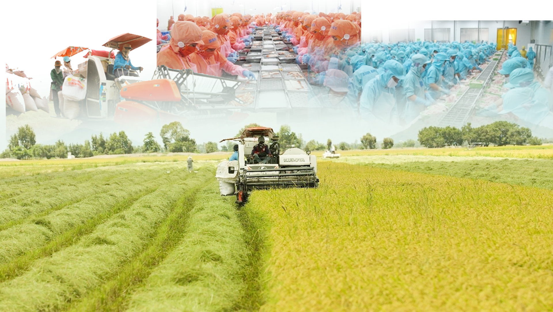 MEGASTORY: Hiệp định RCEP: Tạo lập thị trường xuất khẩu ổn định dài lâu