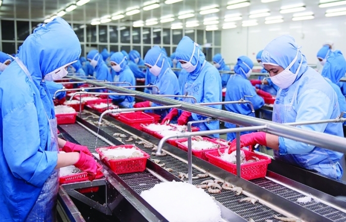 Chí vận tải cao ảnh hưởng đến lợi nhuận của FMC