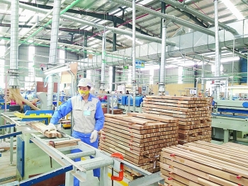 Doanh nghiệp gỗ tìm lối đi trong “cửa hẹp”