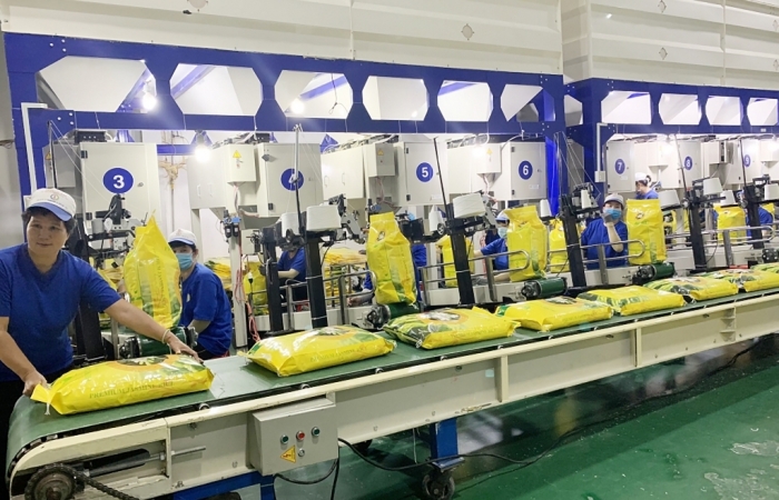 Doanh nghiệp xuất khẩu chật vật giữa cơn bão chi phí