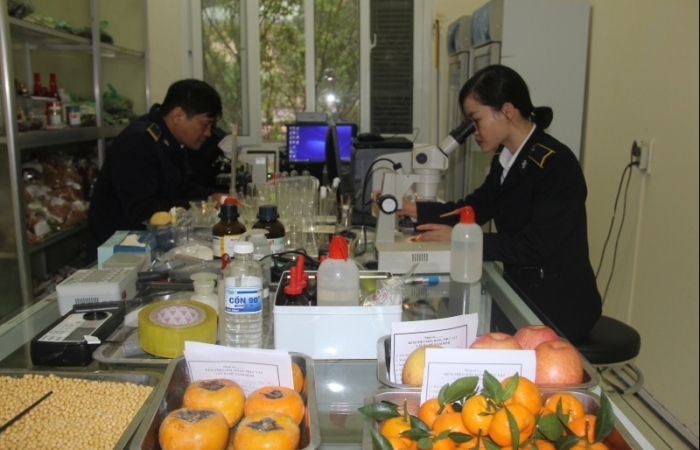 Sẽ tạm dừng sử dụng mã số vùng trồng với các lô hàng vi phạm kiểm dịch thực vật