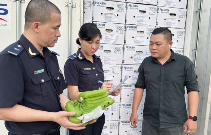 TPHCM: Chủ động nhiều giải pháp thu ngân sách năm 2023