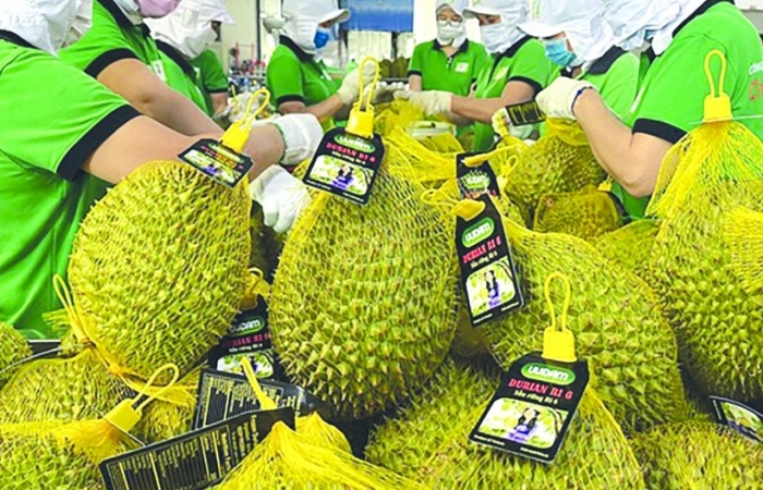 Thị trường Trung Quốc triển vọng đi đôi với cạnh tranh