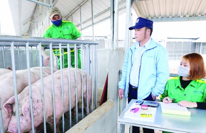 3 hiệp hội chăn nuôi kiến nghị điều gì?