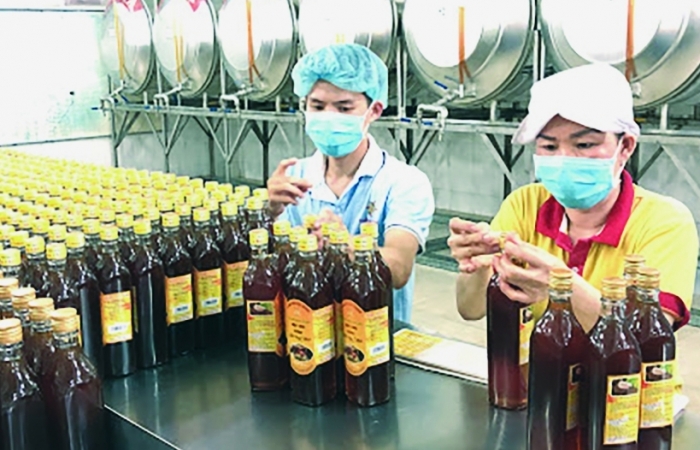 Xuất khẩu mật ong: Gắng giữ thị trường Mỹ dù bị kiện chống bán phá giá