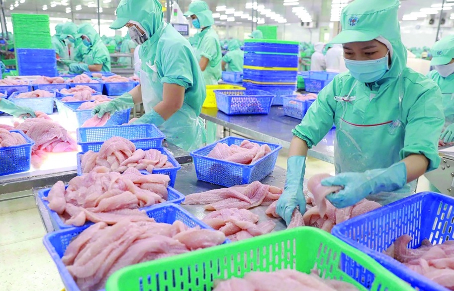7 doanh nghiệp xuất khẩu cá tra sang Hoa Kỳ được hưởng thuế suất 0%