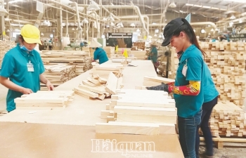 Xuất khẩu hàng hoá “quay cuồng” trong nỗi lo lẩn tránh thuế