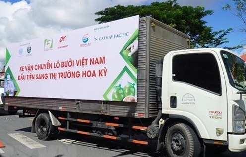 Chính thức xuất khẩu lô bưởi đầu tiên sang Hoa Kỳ